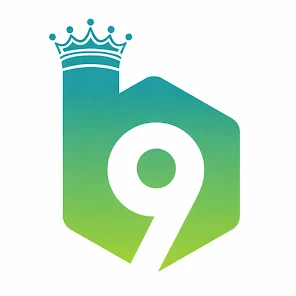 b9gamelink.net Logo
